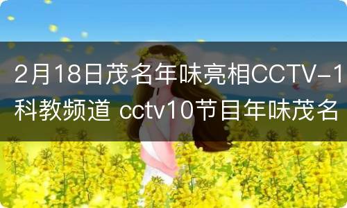 2月18日茂名年味亮相CCTV-10科教频道 cctv10节目年味茂名今天回放