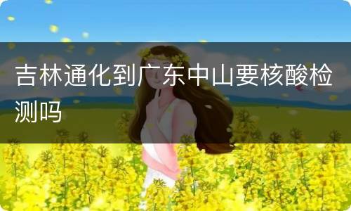 吉林通化到广东中山要核酸检测吗