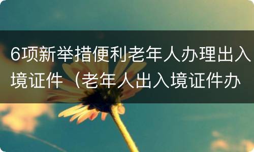 6项新举措便利老年人办理出入境证件（老年人出入境证件办理更便捷）