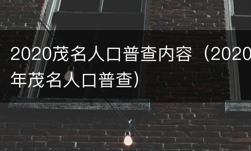 2020茂名人口普查内容（2020年茂名人口普查）