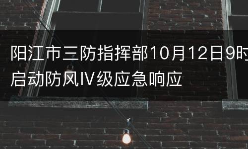 阳江市三防指挥部10月12日9时启动防风Ⅳ级应急响应