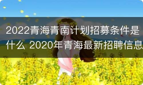 2022青海青南计划招募条件是什么 2020年青海最新招聘信息