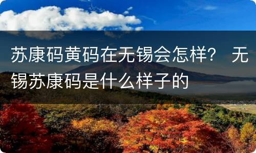苏康码黄码在无锡会怎样？ 无锡苏康码是什么样子的