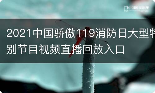2021中国骄傲119消防日大型特别节目视频直播回放入口