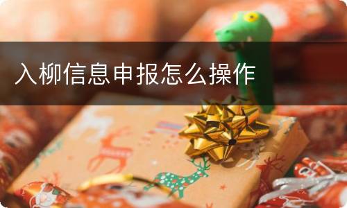 入柳信息申报怎么操作