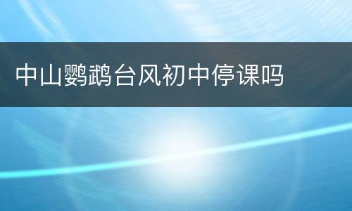 中山鹦鹉台风初中停课吗