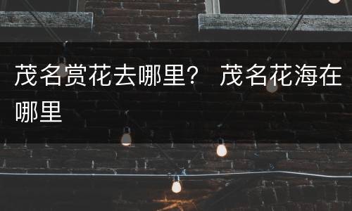 茂名赏花去哪里？ 茂名花海在哪里
