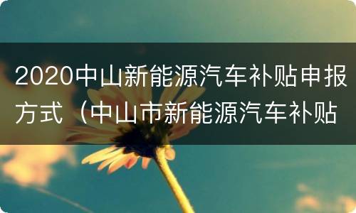 2020中山新能源汽车补贴申报方式（中山市新能源汽车补贴）