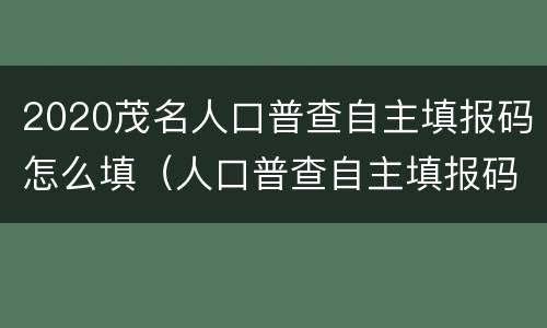2020茂名人口普查自主填报码怎么填（人口普查自主填报码是什么?）