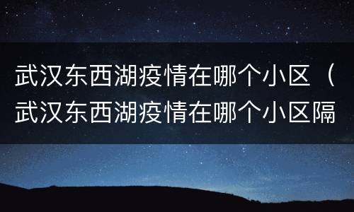 武汉东西湖疫情在哪个小区（武汉东西湖疫情在哪个小区隔离）