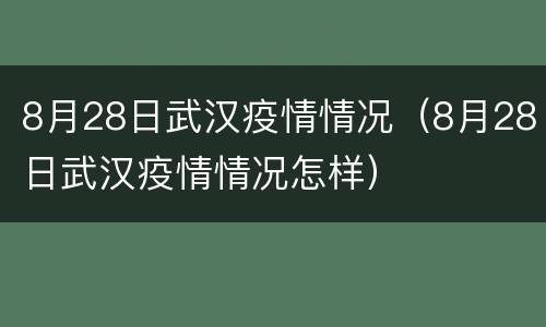 8月28日武汉疫情情况（8月28日武汉疫情情况怎样）