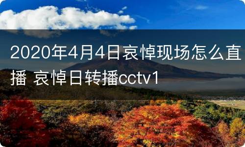 2020年4月4日哀悼现场怎么直播 哀悼日转播cctv1