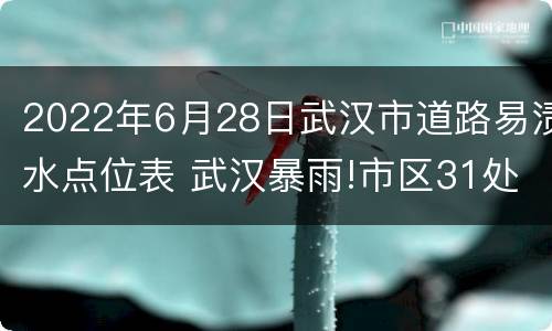 2022年6月28日武汉市道路易渍水点位表 武汉暴雨!市区31处路段有渍水
