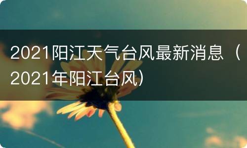 2021阳江天气台风最新消息（2021年阳江台风）