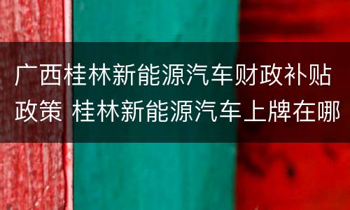 广西桂林新能源汽车财政补贴政策 桂林新能源汽车上牌在哪上