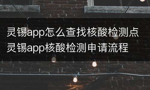 灵锡app怎么查找核酸检测点 灵锡app核酸检测申请流程