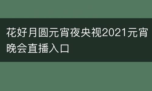 花好月圆元宵夜央视2021元宵晚会直播入口
