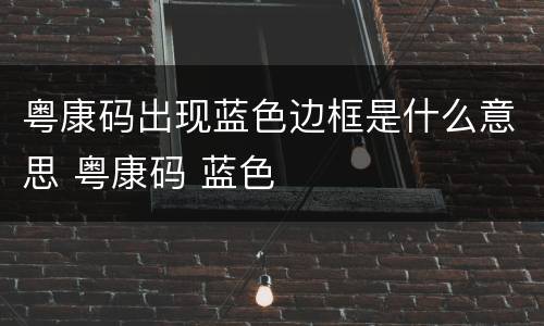 粤康码出现蓝色边框是什么意思 粤康码 蓝色