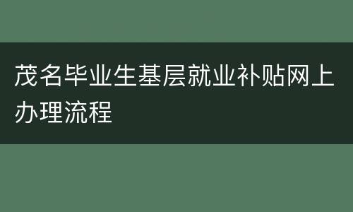 茂名毕业生基层就业补贴网上办理流程