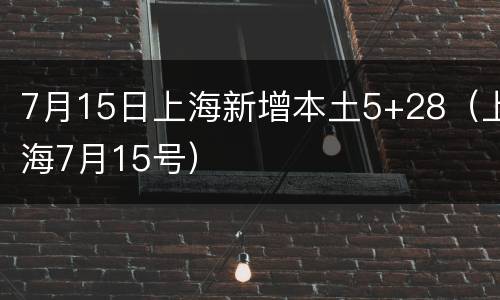 7月15日上海新增本土5+28（上海7月15号）