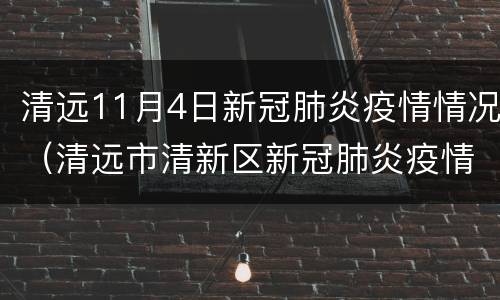 清远11月4日新冠肺炎疫情情况（清远市清新区新冠肺炎疫情防控指挥部办公室）