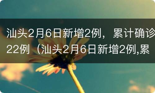汕头2月6日新增2例，累计确诊22例（汕头2月6日新增2例,累计确诊22例）