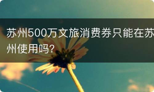 苏州500万文旅消费券只能在苏州使用吗？
