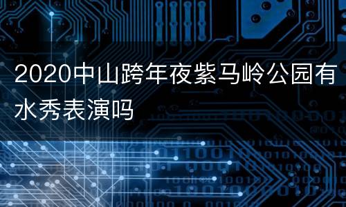 2020中山跨年夜紫马岭公园有水秀表演吗