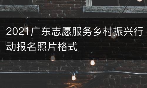 2021广东志愿服务乡村振兴行动报名照片格式