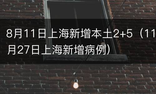 8月11日上海新增本土2+5（11月27日上海新增病例）