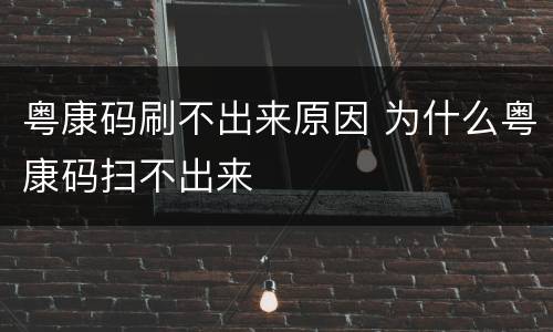 粤康码刷不出来原因 为什么粤康码扫不出来