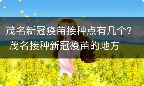 茂名新冠疫苗接种点有几个？ 茂名接种新冠疫苗的地方