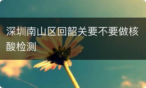 深圳南山区回韶关要不要做核酸检测