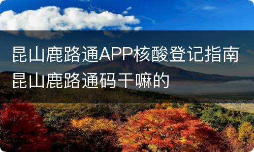 昆山鹿路通APP核酸登记指南 昆山鹿路通码干嘛的