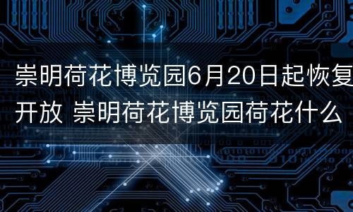 崇明荷花博览园6月20日起恢复开放 崇明荷花博览园荷花什么时候开放