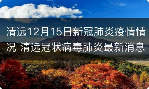 清远12月15日新冠肺炎疫情情况 清远冠状病毒肺炎最新消息