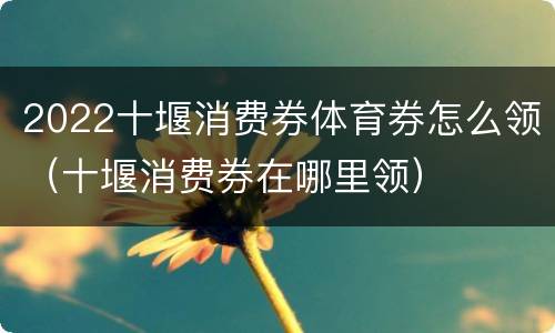 2022十堰消费券体育券怎么领（十堰消费券在哪里领）