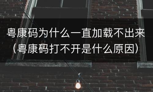 粤康码为什么一直加载不出来（粤康码打不开是什么原因）