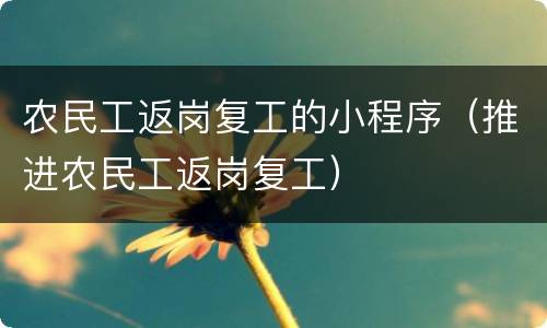 农民工返岗复工的小程序（推进农民工返岗复工）