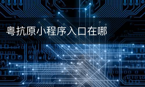 粤抗原小程序入口在哪