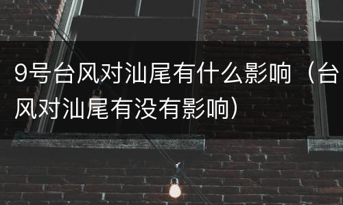 9号台风对汕尾有什么影响（台风对汕尾有没有影响）