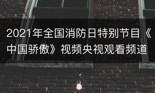 2021年全国消防日特别节目《中国骄傲》视频央视观看频道