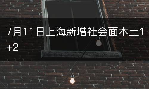 7月11日上海新增社会面本土1+2
