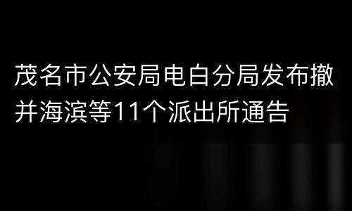 茂名市公安局电白分局发布撤并海滨等11个派出所通告