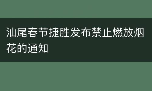 汕尾春节捷胜发布禁止燃放烟花的通知