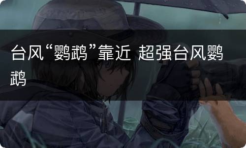 台风“鹦鹉”靠近 超强台风鹦鹉