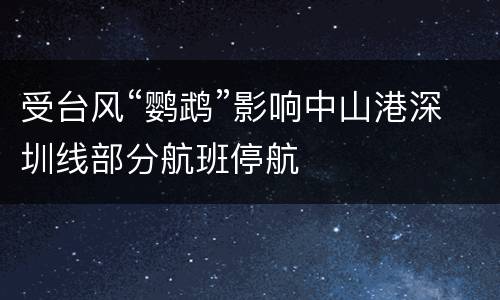 受台风“鹦鹉”影响中山港深圳线部分航班停航