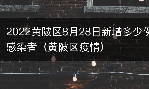 2022黄陂区8月28日新增多少例感染者（黄陂区疫情）
