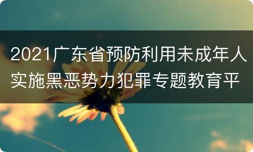 2021广东省预防利用未成年人实施黑恶势力犯罪专题教育平台