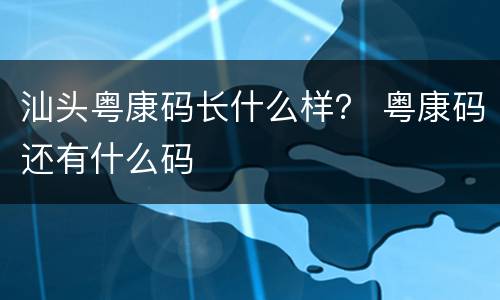 汕头粤康码长什么样？ 粤康码还有什么码